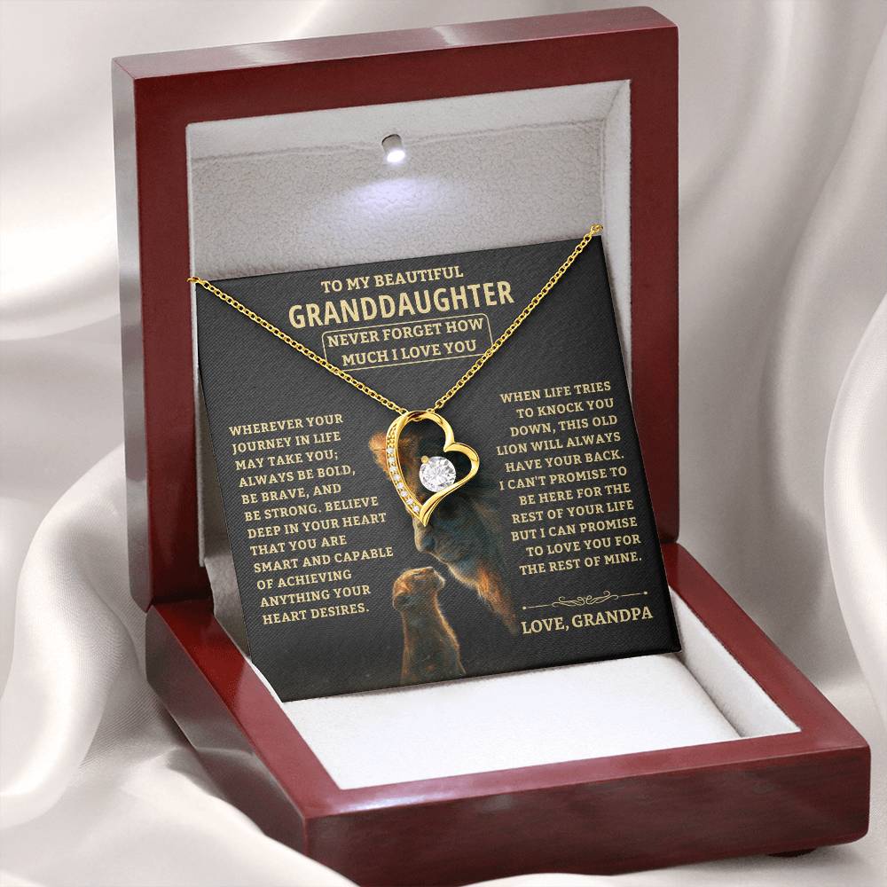 Jewelry Granddaughter Gift-Never Forget