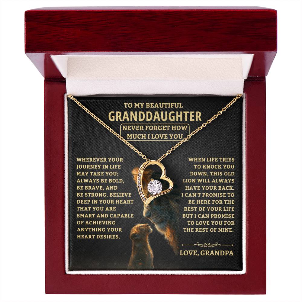 Jewelry Granddaughter Gift-Never Forget