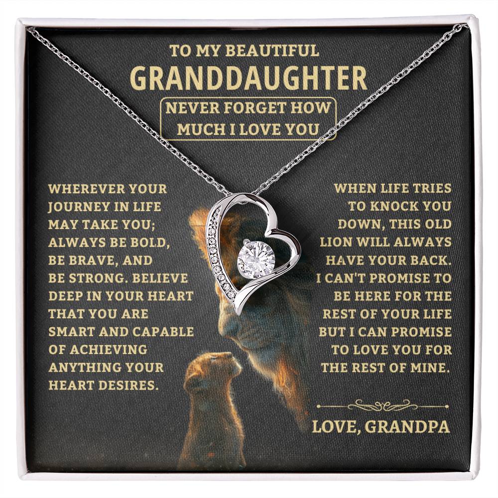 Jewelry Granddaughter Gift-Never Forget