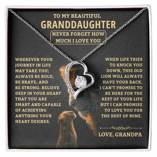 Jewelry Granddaughter Gift-Never Forget