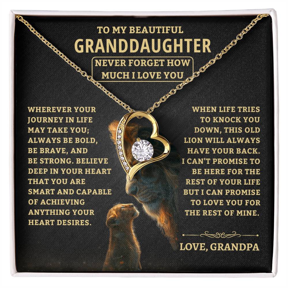 Jewelry Granddaughter Gift-Never Forget